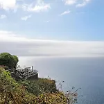 Linaje Del Pago Listán Blanco * El Sauzal